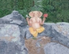 Ganesh in the rockies
